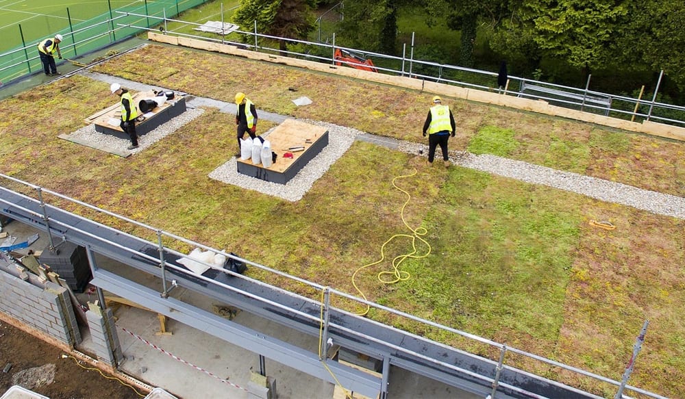 green-roof-thumbnail