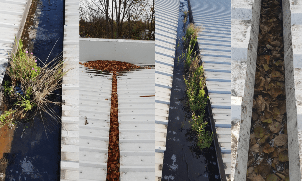 Why is gutter cleaning so important for your roof?