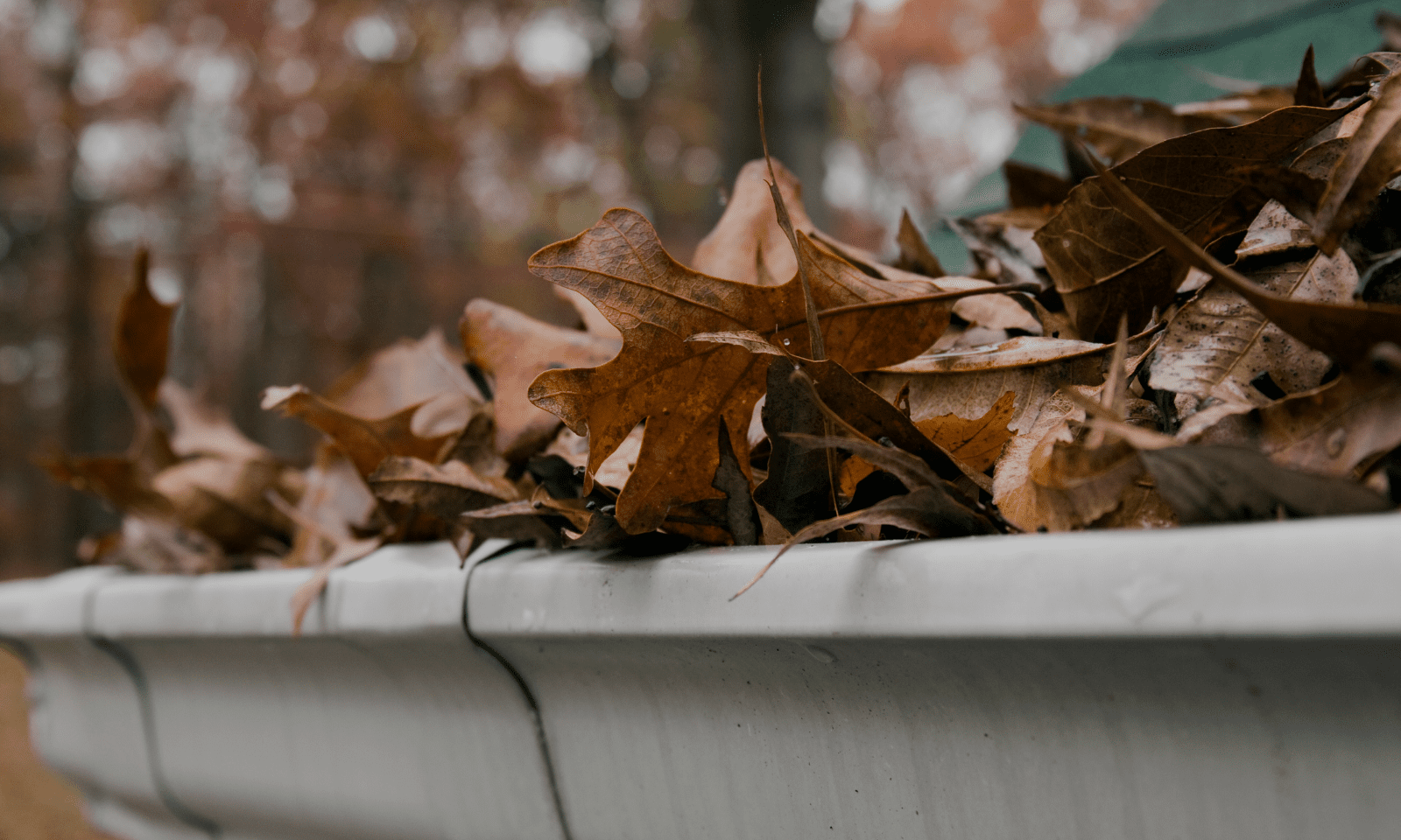Winter is coming! Protect your roof with regular inspections